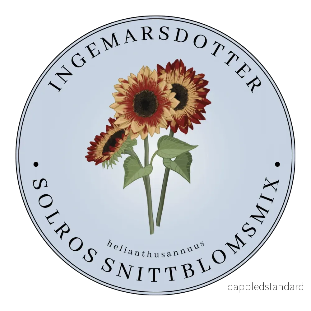 Solros snittblomsmix Solros snittblomsmix