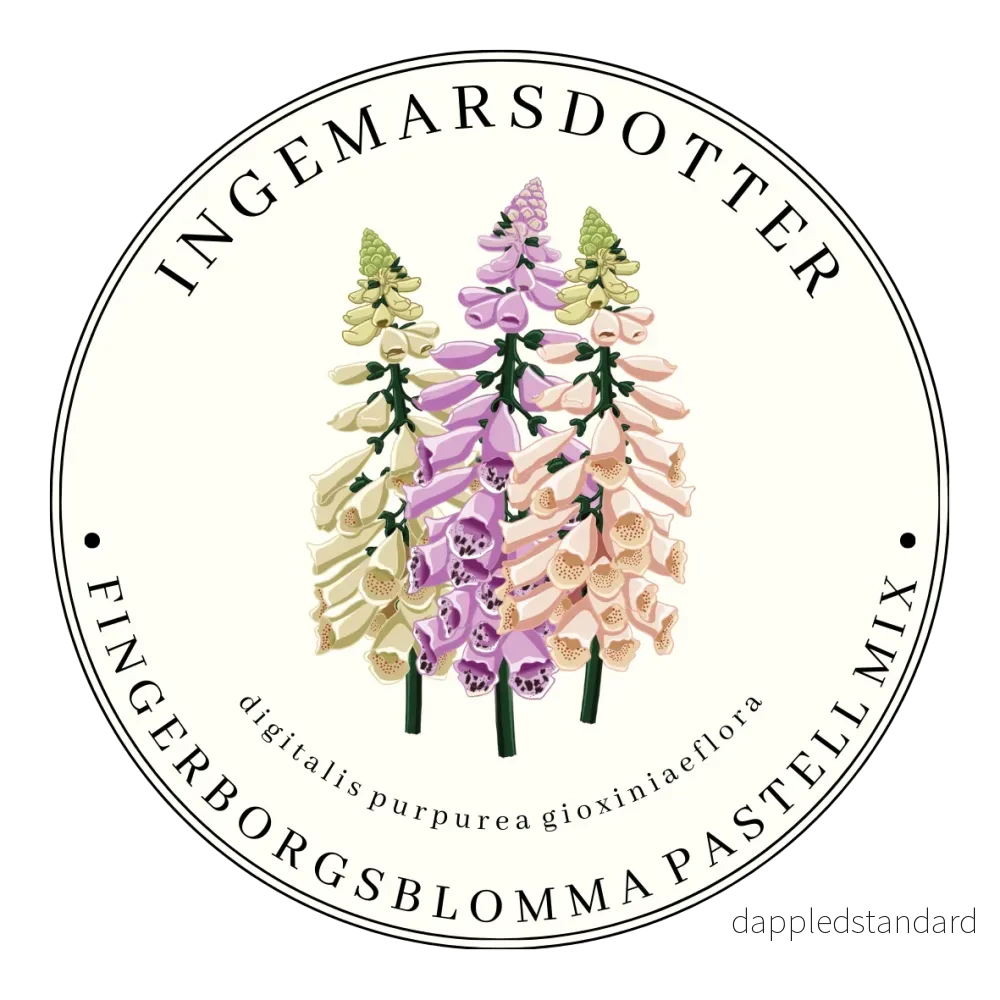 Fingerborgsblomma Pastell mix Fingerborgsblomma Pastell mix