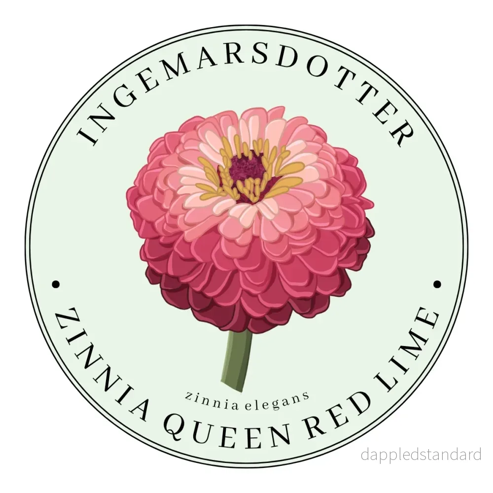 Zinnia Queen Lime Red