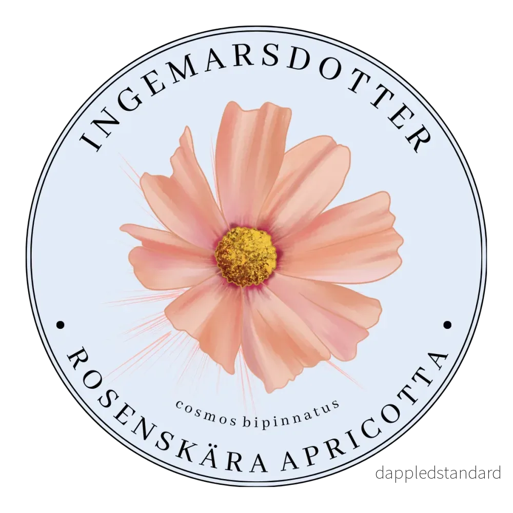 Rosenskära Apricotta Rosenskära Apricotta