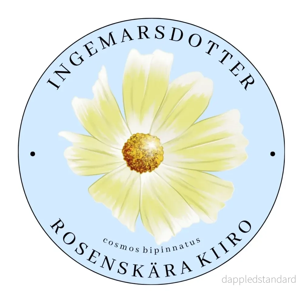 Rosenskära Kiiro Rosenskära Kiiro