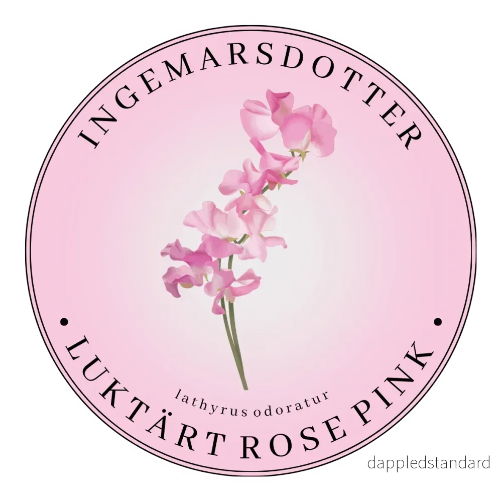 Luktärt Mammoth Rose Pink Luktärt Mammoth Rose Pink
