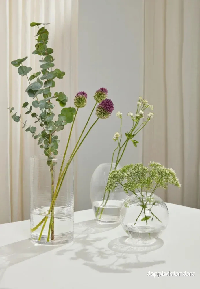 Vas Laine - Bild 3