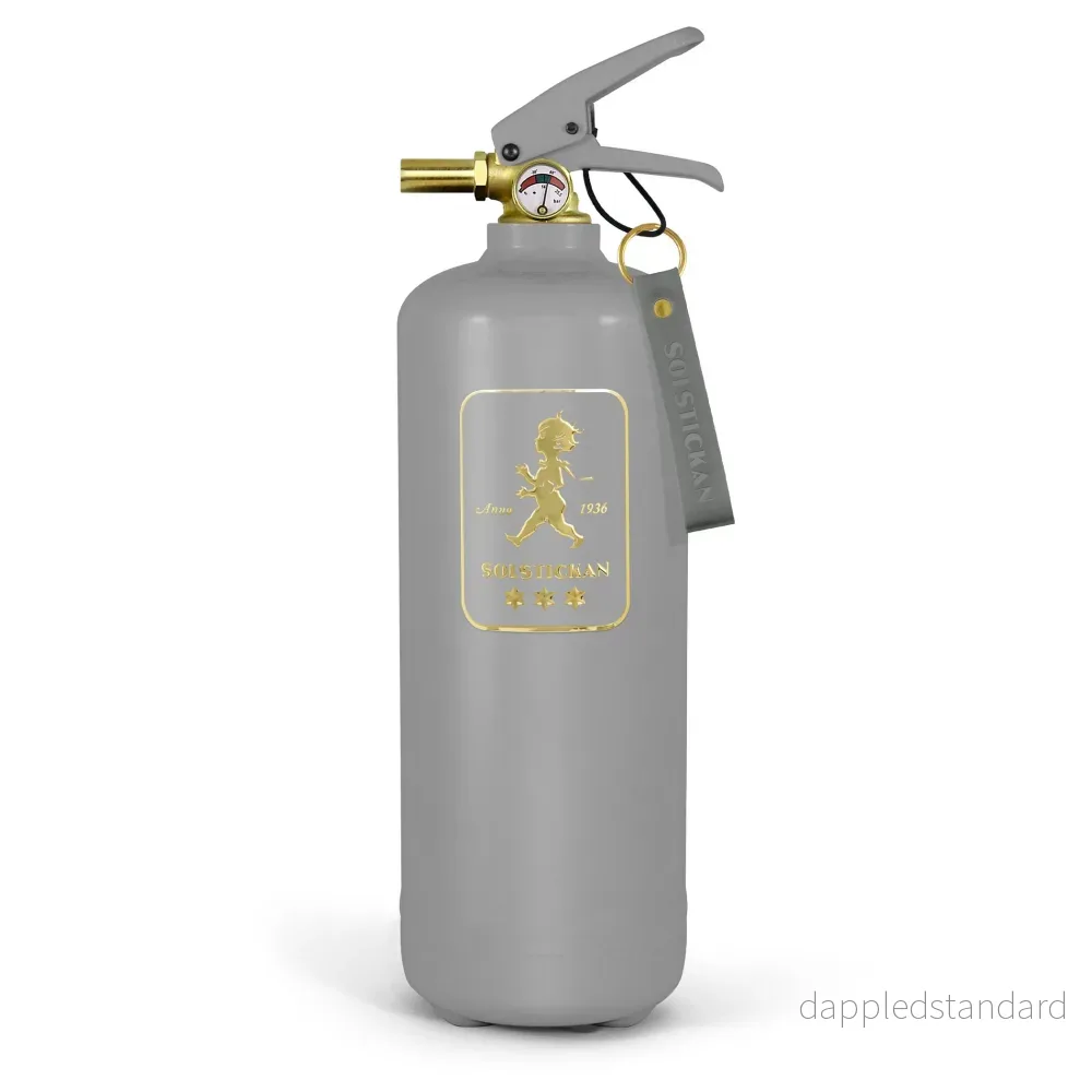 Fire extinguisher 2kg Grey / Gold Fire extinguisher 2kg Grey / Gold
