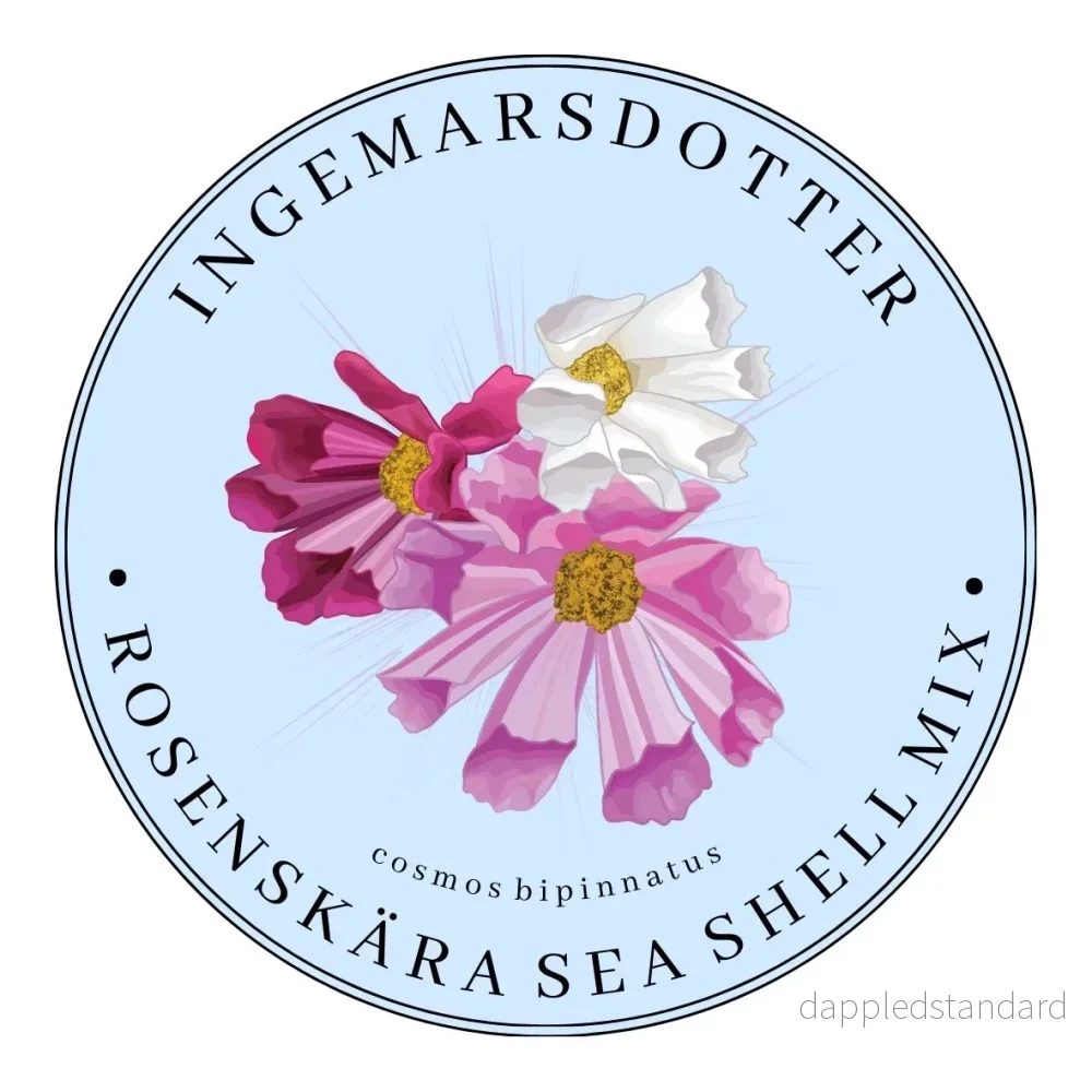 Rosenskära Sea shell Mix (storpack) Rosenskära Sea shell Mix (storpack)