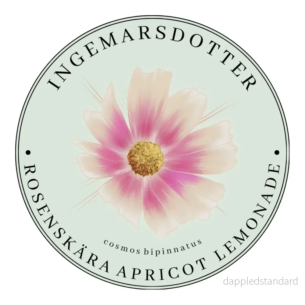 Rosenskära Apricot Lemonade Rosenskära Apricot Lemonade