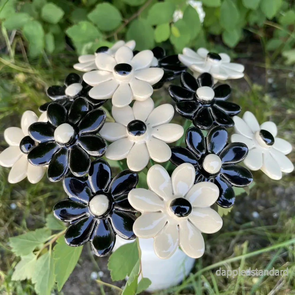 Svart-Vit Margerit liten - Bild 2