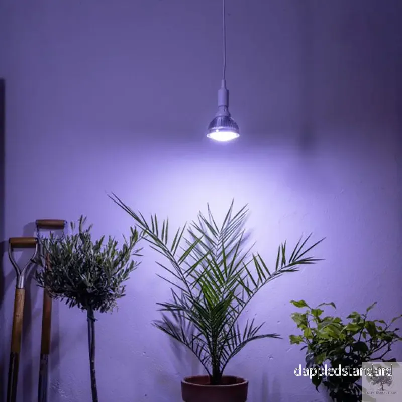 Växtlampa Vinter 15W, 120 grader Växtlampa Vinter 15W, 120 grader