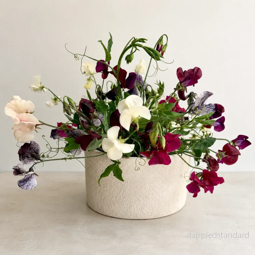 Dainty Blooms