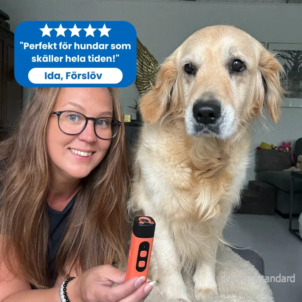 Barky | Den enkla vägen till en tystare vardag