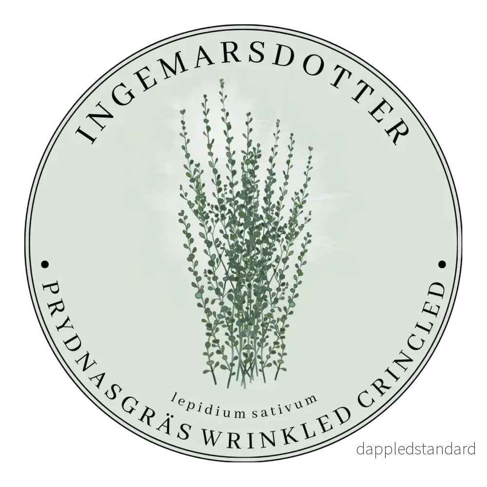 Bukettkrasse Wrikled Crinkled Cress Bukettkrasse Wrikled Crinkled Cress