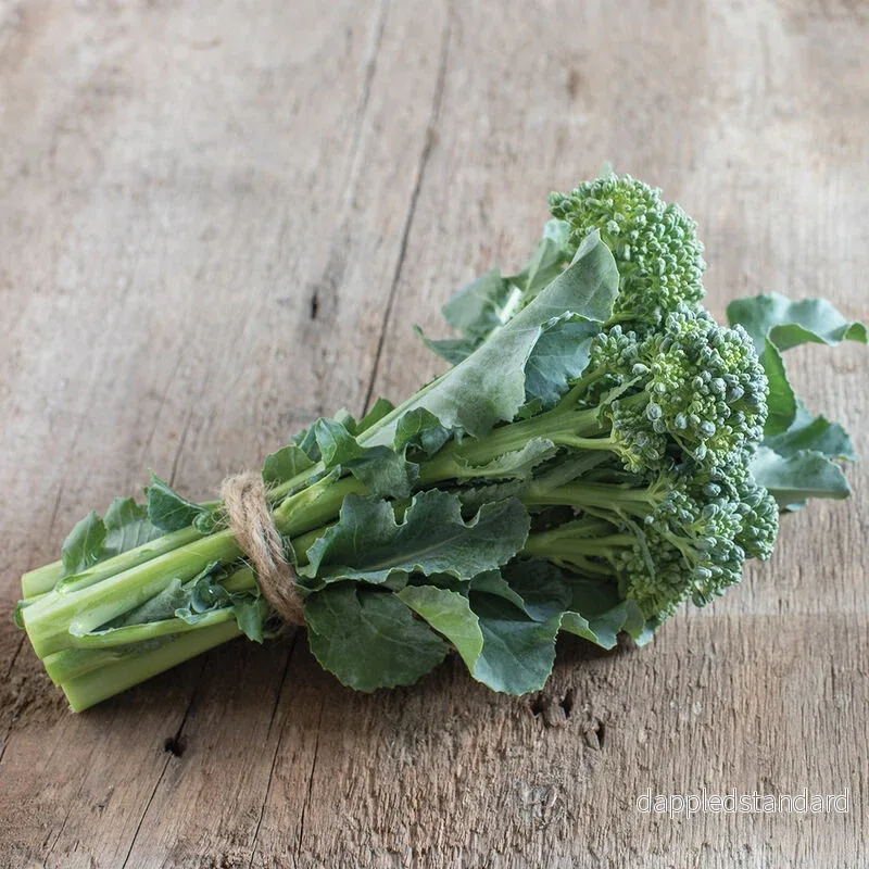 Broccoli ´De Cicco´