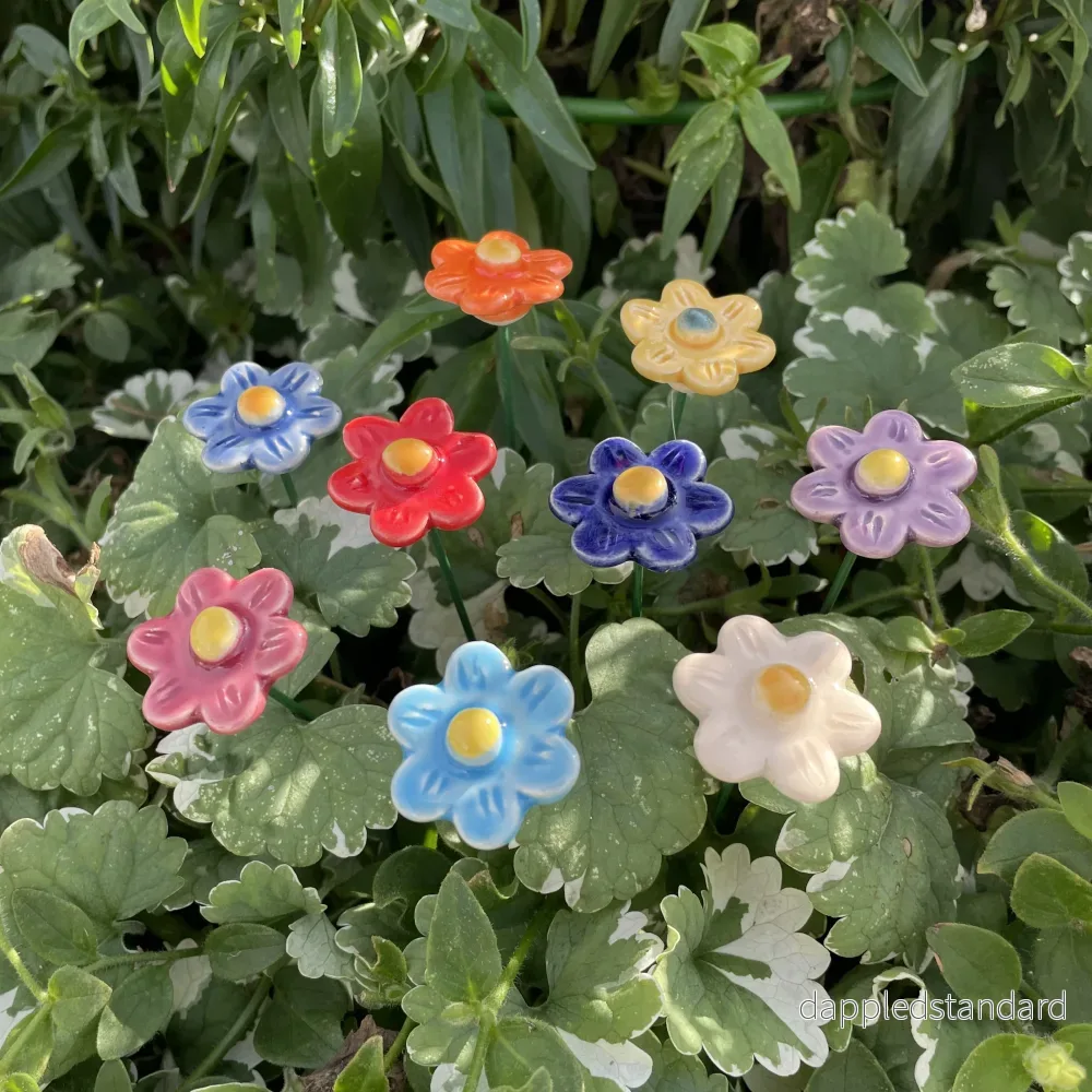 Jordgubbsblomma - Bild 2
