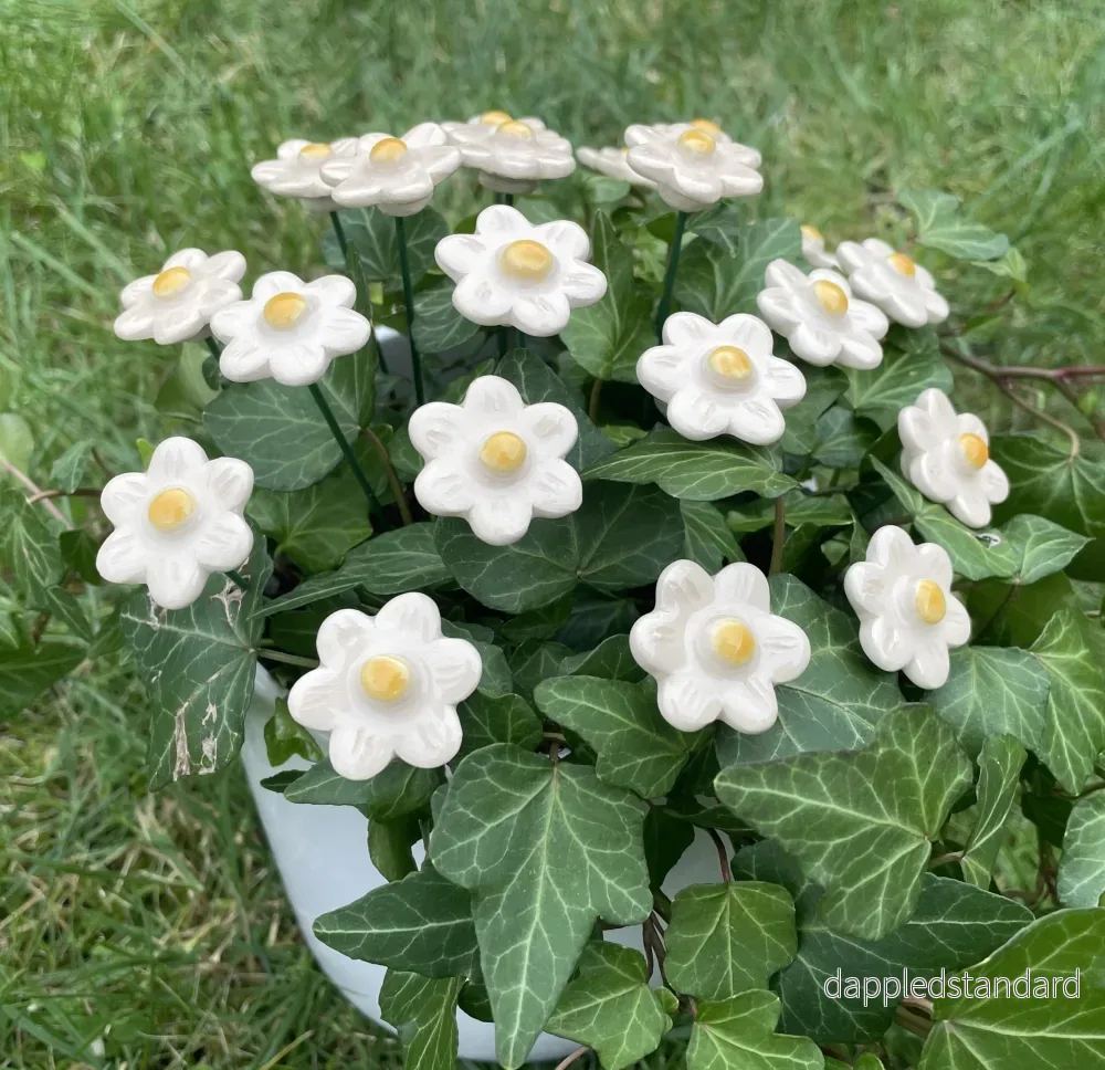 Jordgubbsblomma - Bild 3