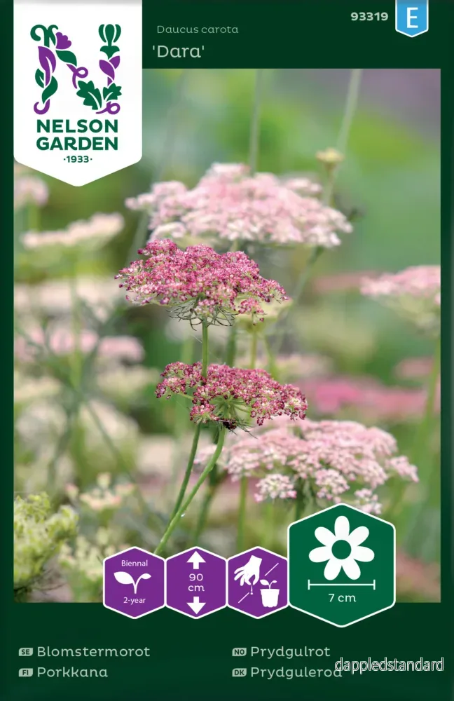 Blomstermorot, Dara Blomstermorot, Dara