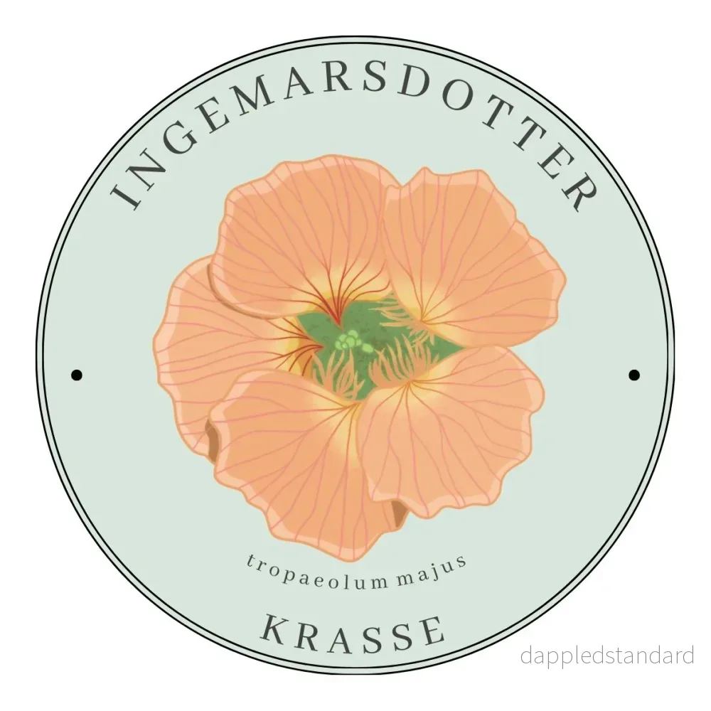Krasse Tip Top Alaska Salmon (buskkrasse) Krasse Tip Top Alaska Salmon (buskkrasse)