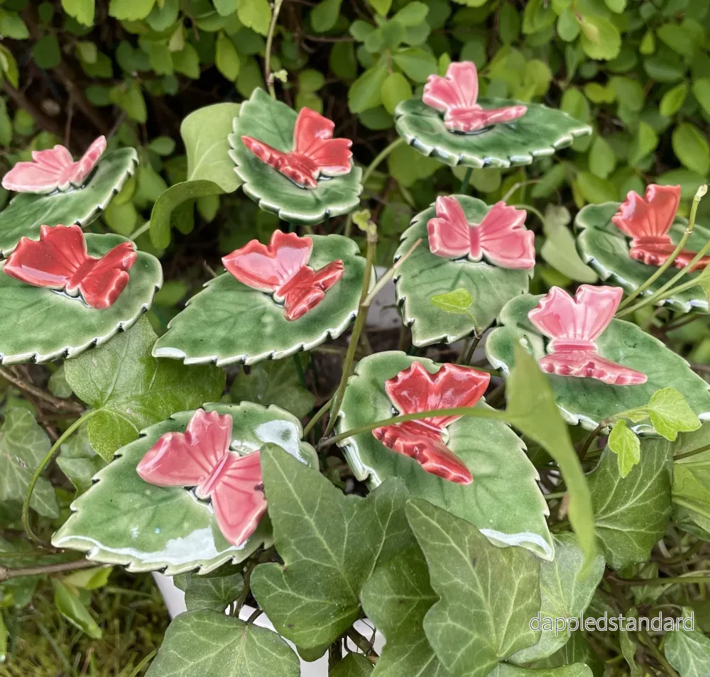 Fjäril på blad Fjäril på blad