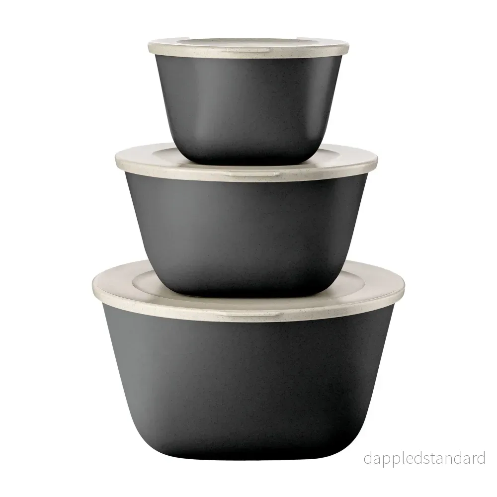 Förvaringslåda Box with lid 1l + 2l + 4l connect box set stockholm