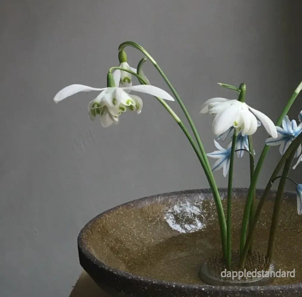 Blomsterfakir - Bild 3