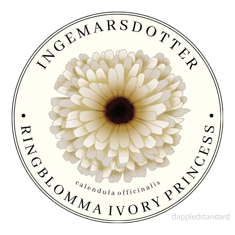 Ringblomma Ivory Princess Ringblomma Ivory Princess