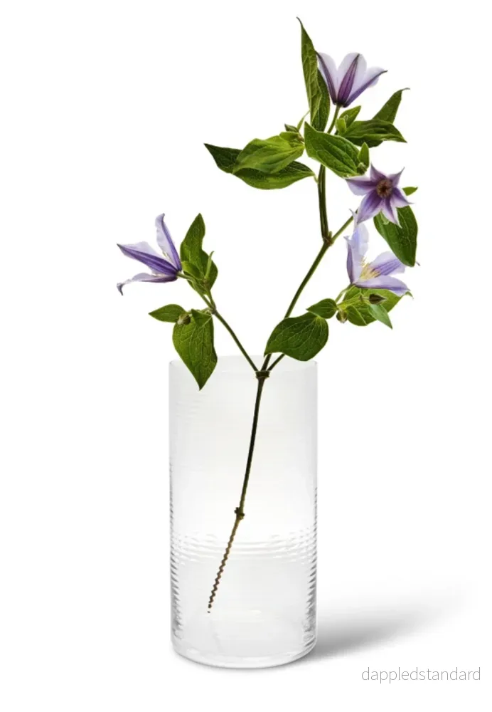 Vas Laine - Bild 2