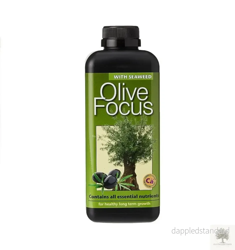 Olivträdsnäring – Olive focus Olivträdsnäring – Olive focus