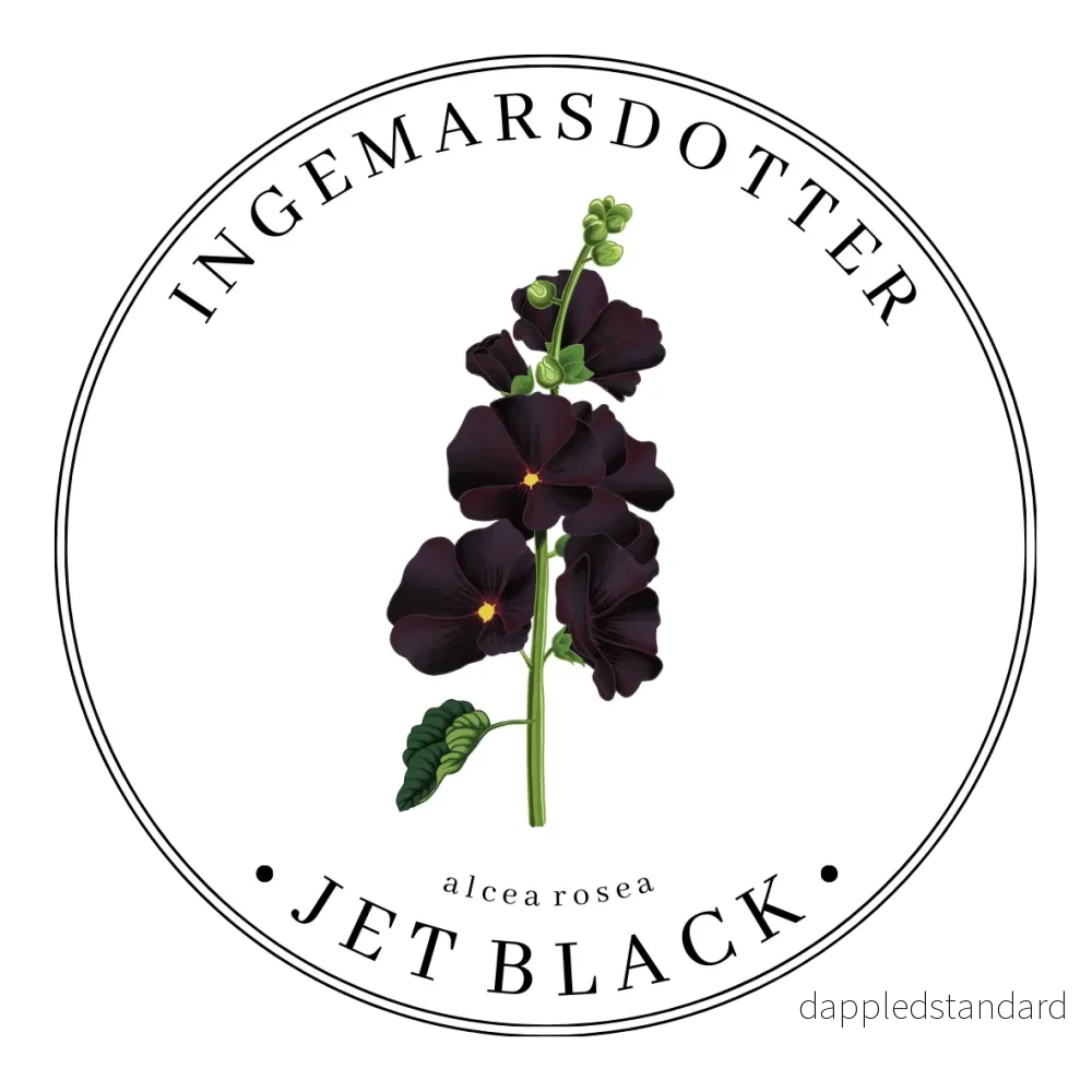 Stockros Jet black