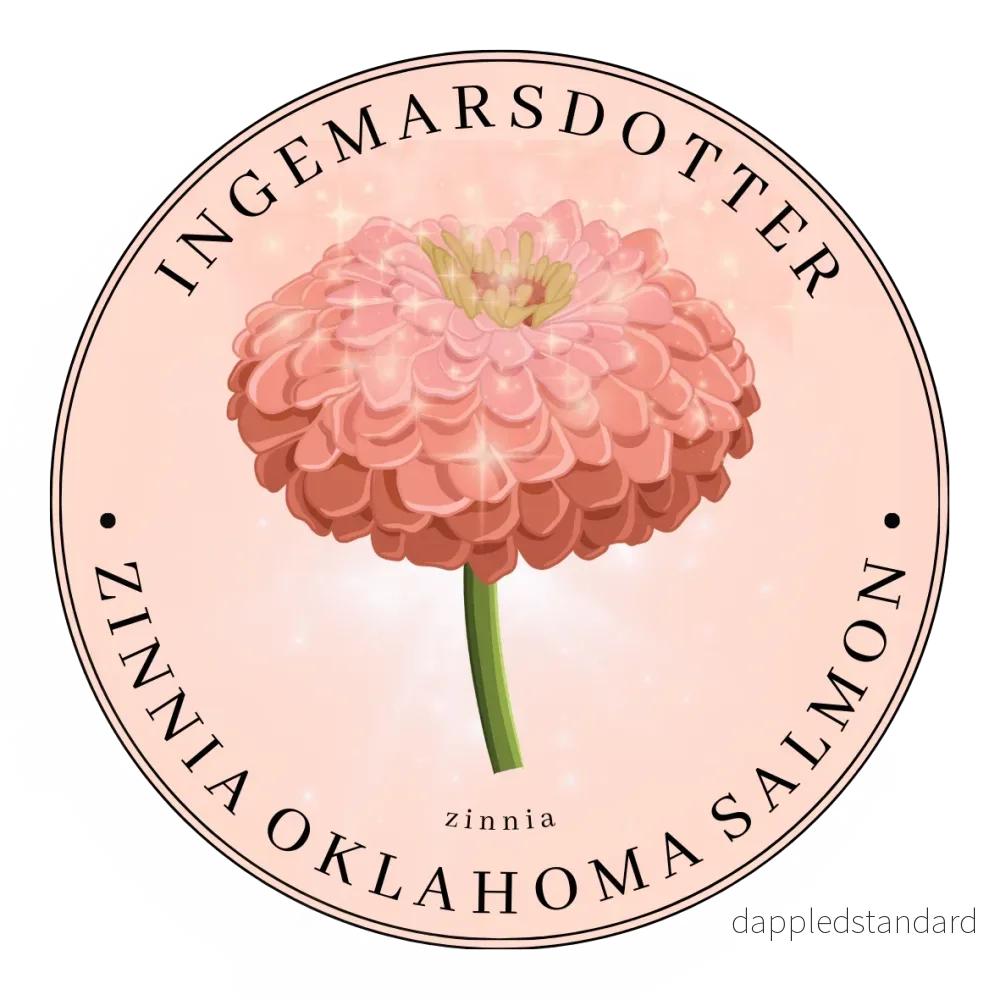 Zinnia Oklahoma Salmon Zinnia Oklahoma Salmon
