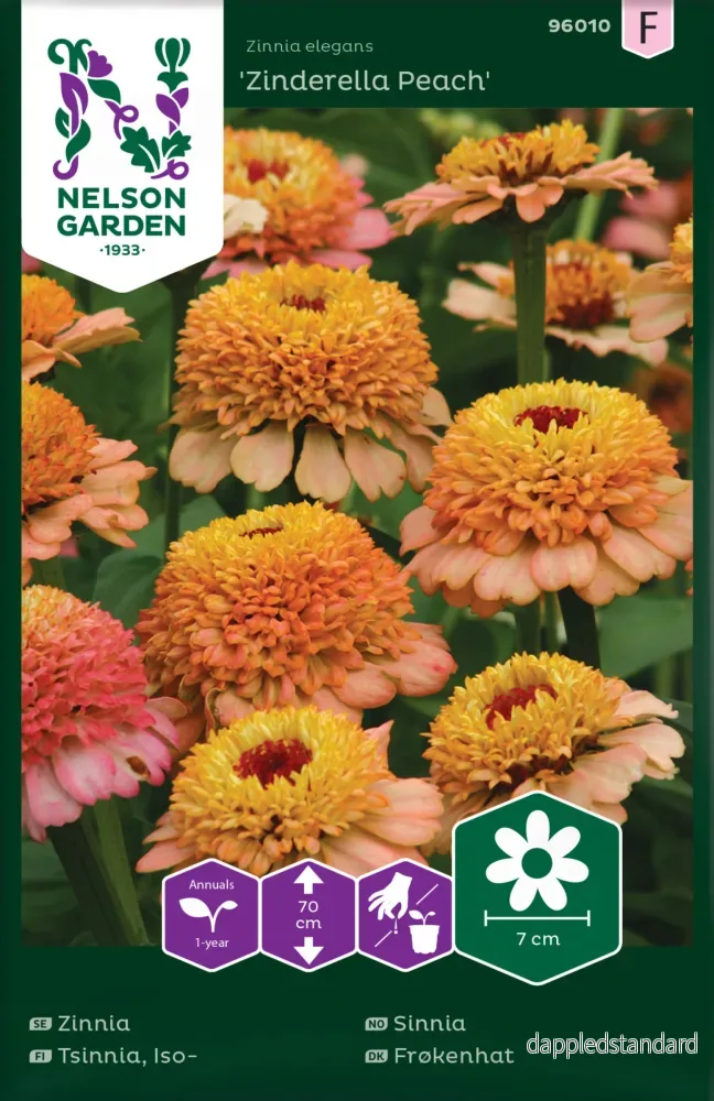 Zinnia, Zinderella Peach Zinnia, Zinderella Peach
