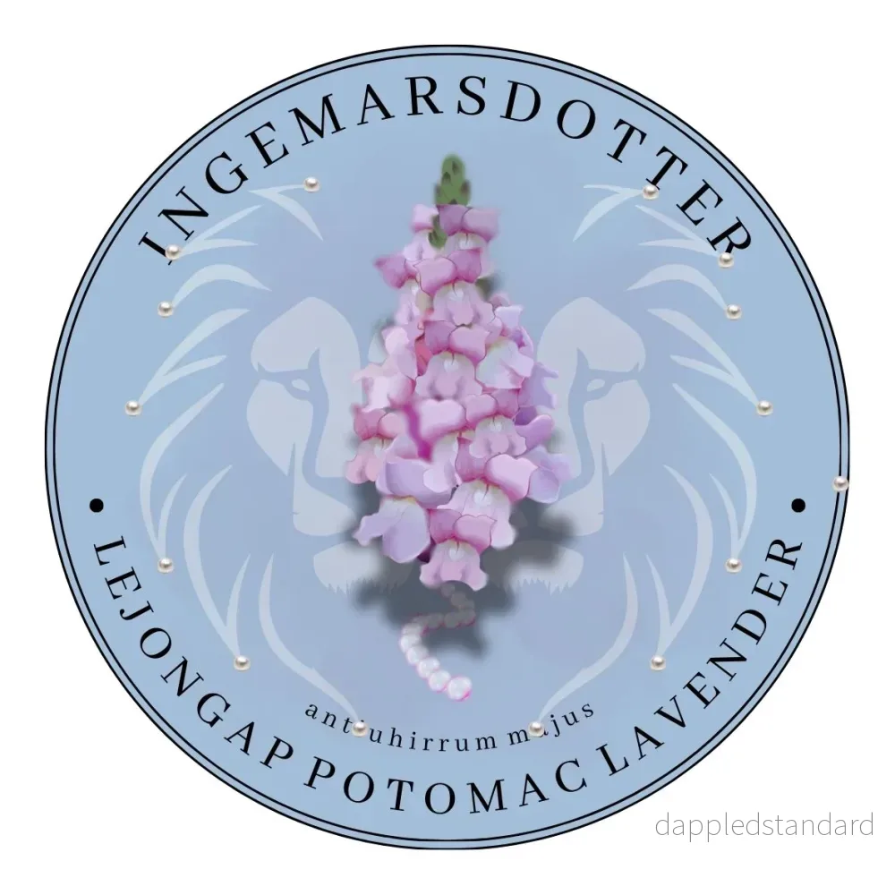 Lejongap Potomac Lavender Lejongap Potomac Lavender