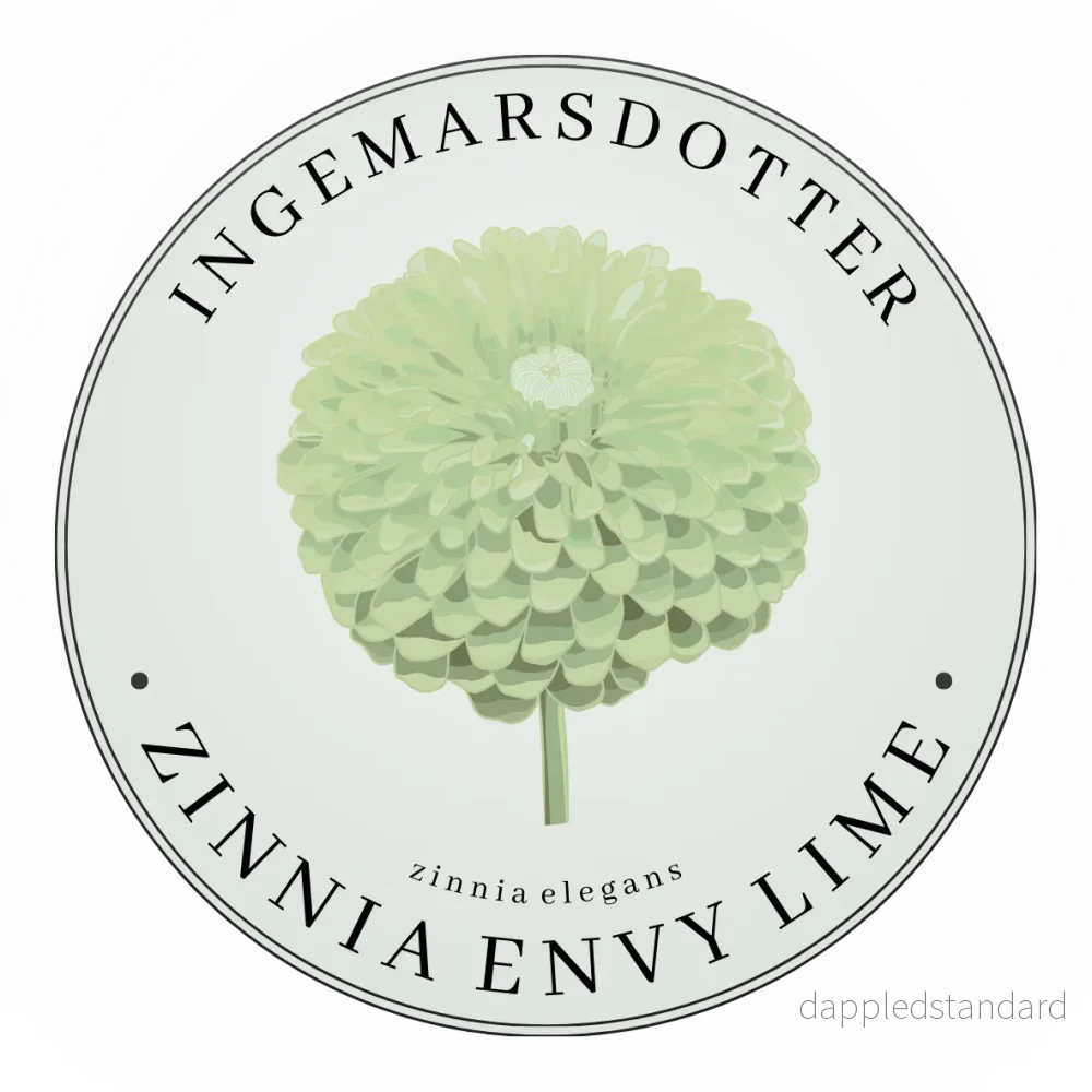 Zinnia Envy Green (storpack) Zinnia Envy Green (storpack)
