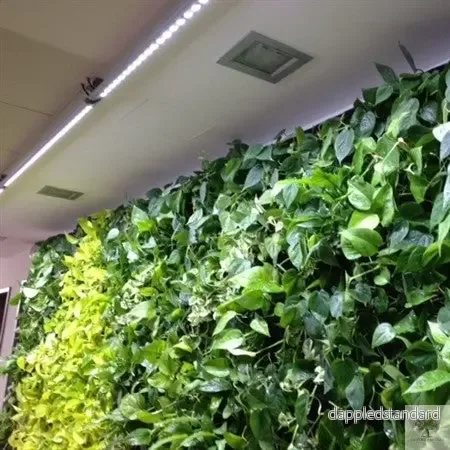 SPOT-WALL 60-120 cm LED-armatur för växtväggar 120° SPOT-WALL 60-120 cm LED-armatur för växtväggar 120°