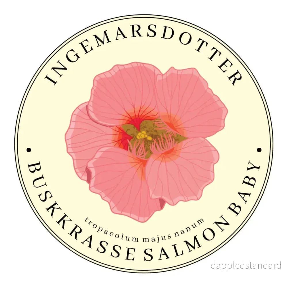 Krasse Salmon Baby (buskkrasse) Krasse Salmon Baby (buskkrasse)