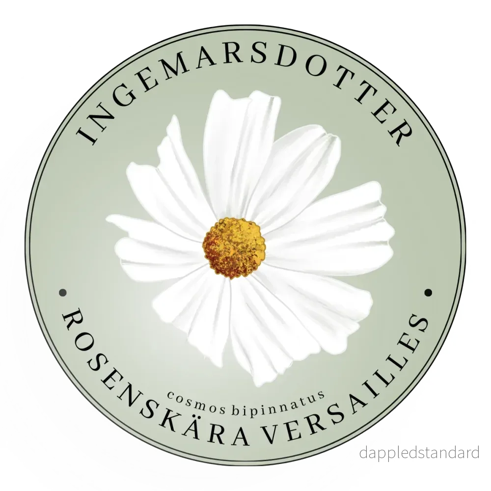 Rosenskära Versailles White Rosenskära Versailles White